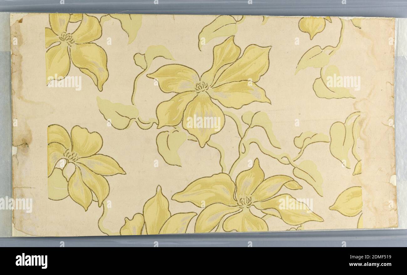 Parete laterale, stampata a macchina, motivo floreale, fiori in scala grande con petali grandi in giallo cromato pastello e verde salvia, sfumature molto delicate, su campo avorio. Fiori e foglie delineate in oro. No. 1939-33-46 è il bordo di questa carta da parati., USA, 1890–1900, Wallcoverings, Sidewall Foto Stock