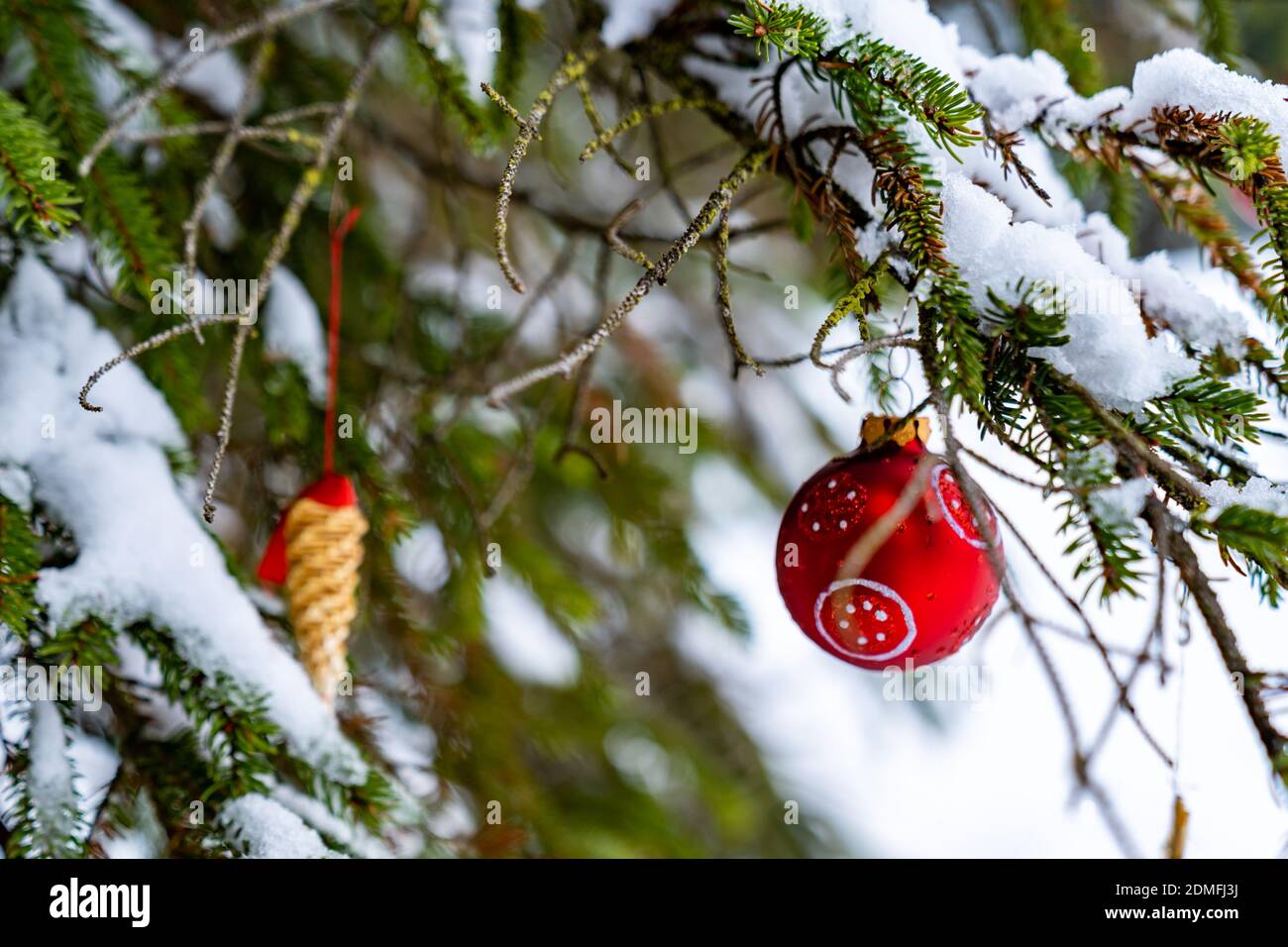 Christbaumschmuck all'aperto am Tannenzweig. Decorazione dell'albero di Natale nella foresta. rote Christbaumkugeln und Strohstern, ora di Natale di Corona Austria Foto Stock