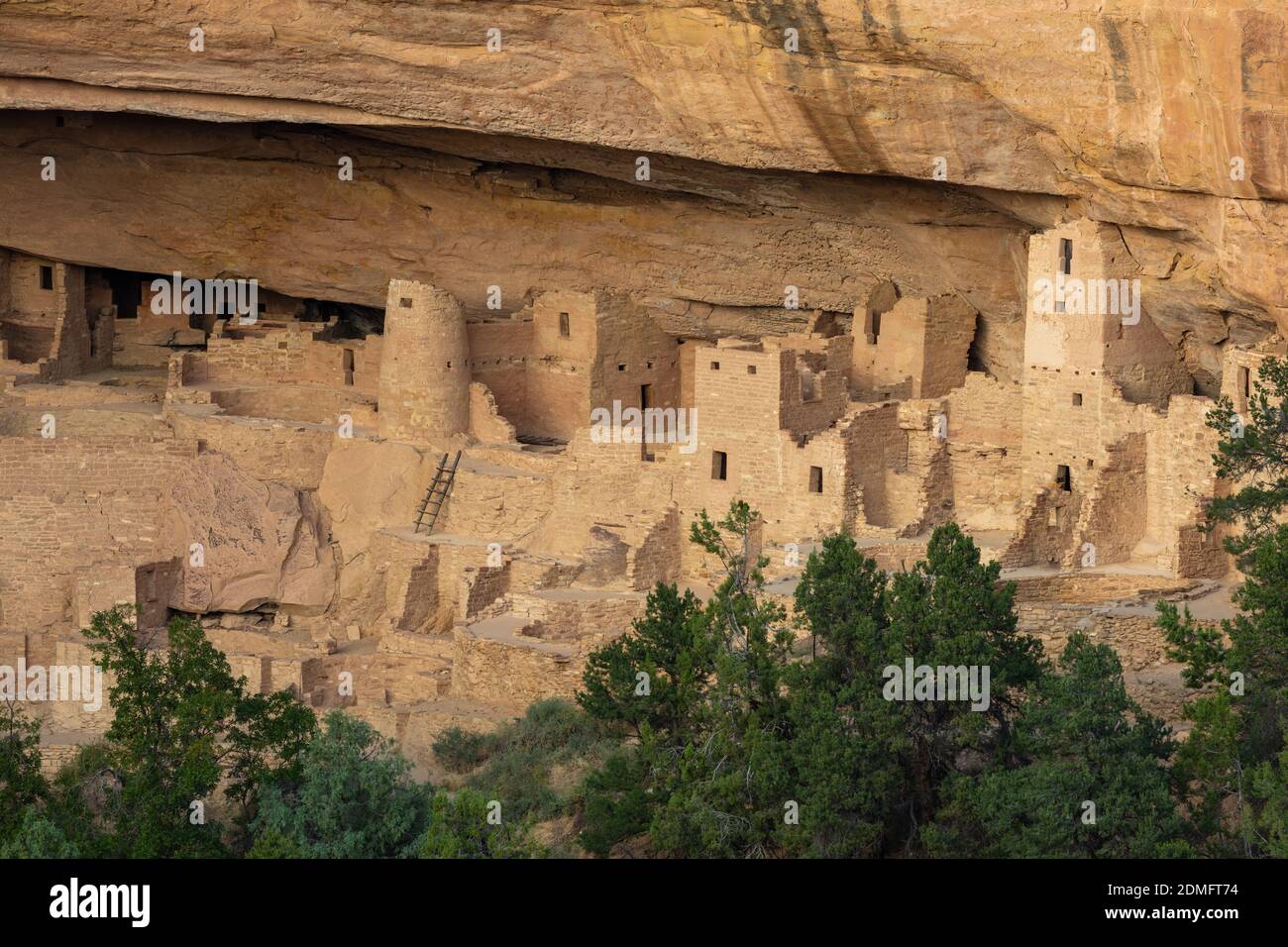 Cliff Palace, Mesa Verde National Park, COLORADO Foto Stock