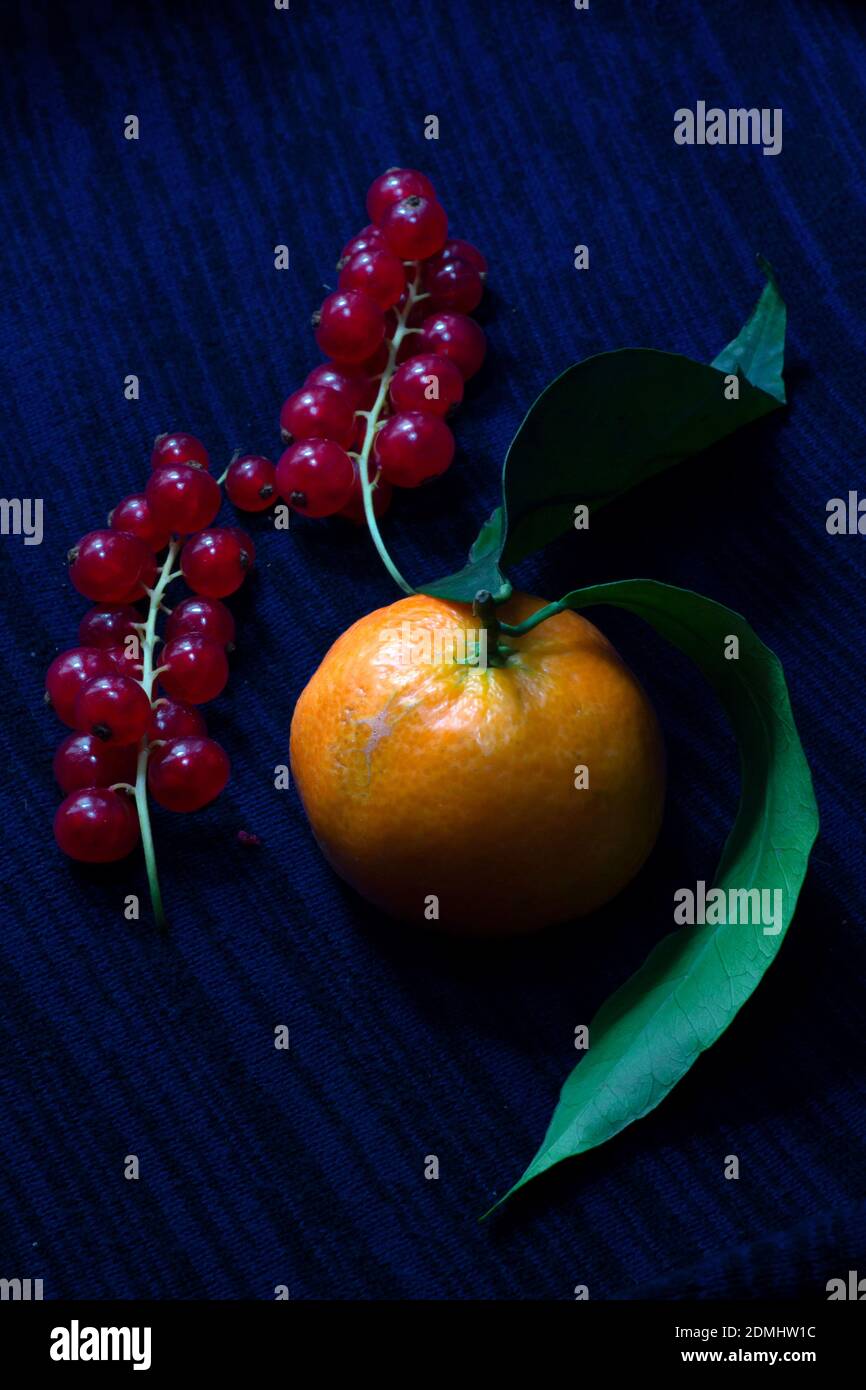 mandarino di clementina con foglia e ribes rosso su un nero e sfondo a strisce blu Foto Stock