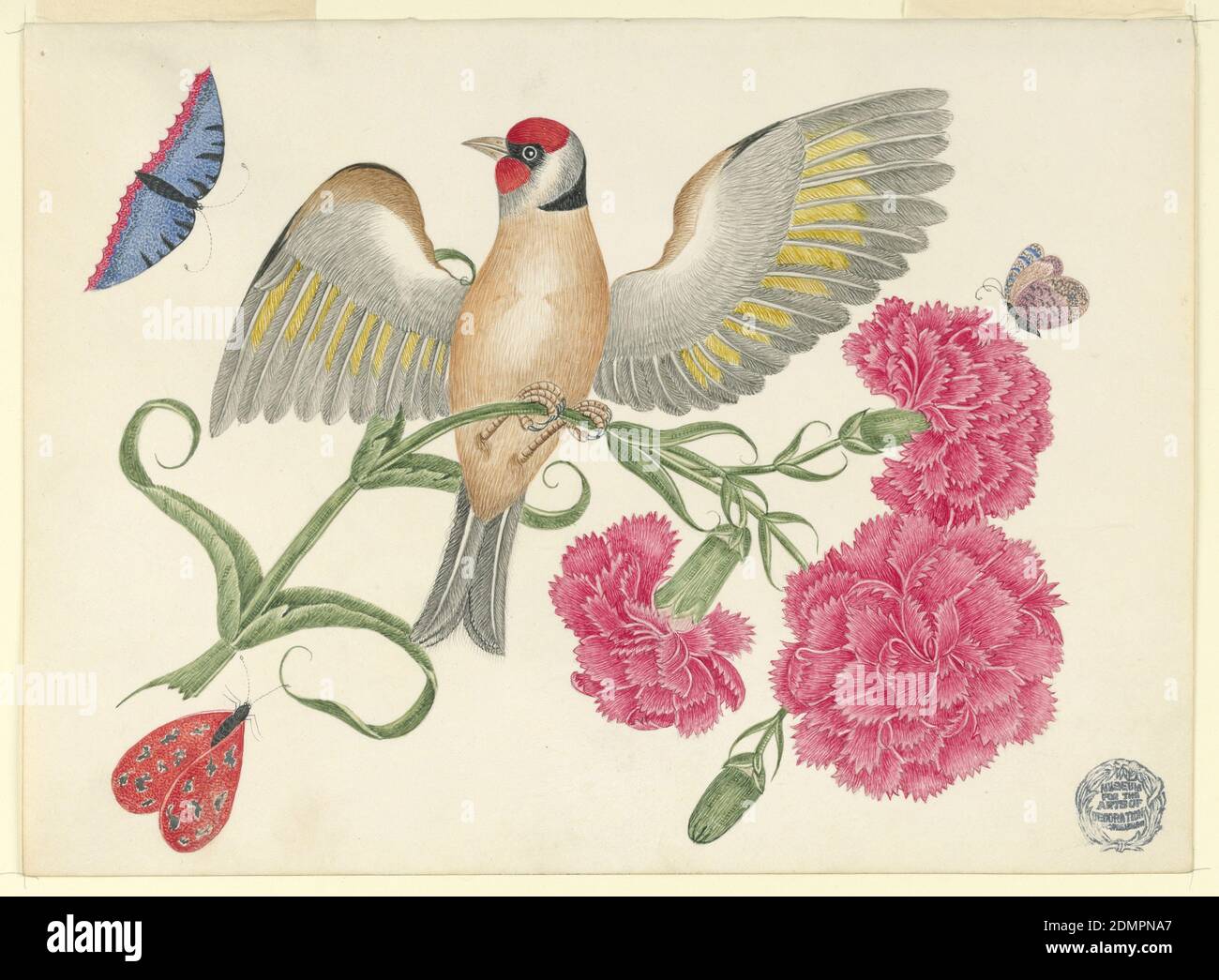 Uccello marrone con testa rossa su stelo di garofano con Farfalle, penna e inchiostro, grafite su carta di wove rivestita, uccello marrone con testa rossa su stelo di garofano con Farfalle, ca. 1800–1830, disegno Foto Stock