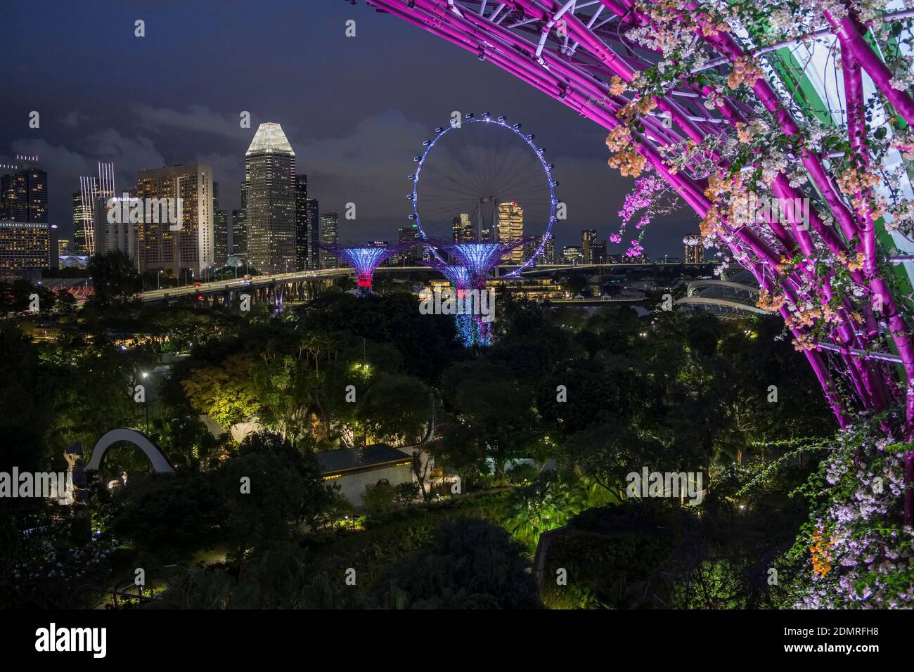 Singapore: Vista notturna dei superalberi nei Giardini della Baia (parco) nel mezzo, la ruota panoramica gigante Singapore Flyer Foto Stock