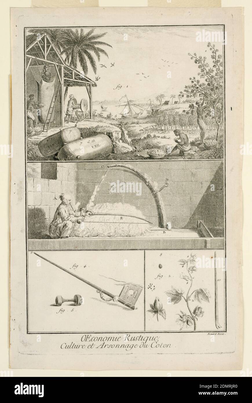 Culture et Arsonnage du Coton' from Diderot's Encyclopedia, Vol. I, Robert Bénard, francese, 1734–1772, Louis-Jacques Goussier, francese, 1722 - 1799, incisione su carta bianca, registro superiore, vista della piantagione di cotone su una costa - il cotone viene raccolto e lavorato. Centro, uomo che lavora su un mucchio di cotone non pettinato all'interno. Registro inferiore, utensili e parti di un impianto di cotone., Francia, 1762, disegno grafico, Stampa Foto Stock