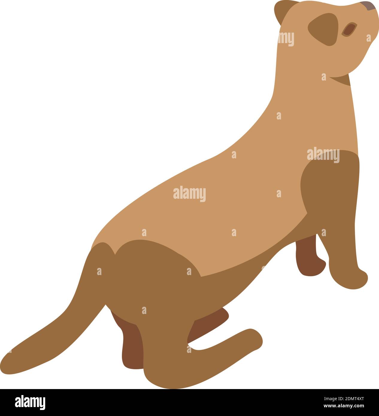 Icona mink domestico. Isometrica dell'icona vettoriale mink domestica per il web design isolata su sfondo bianco Illustrazione Vettoriale