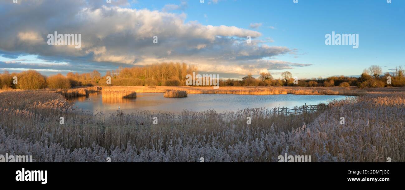 Riserva naturale di Fowlmere RSPB Foto Stock