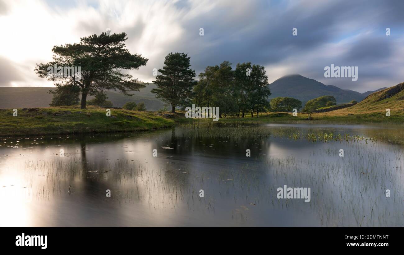 Riflessioni a Kelly Hall Tarn, Coniston, Lake District, UK Foto Stock