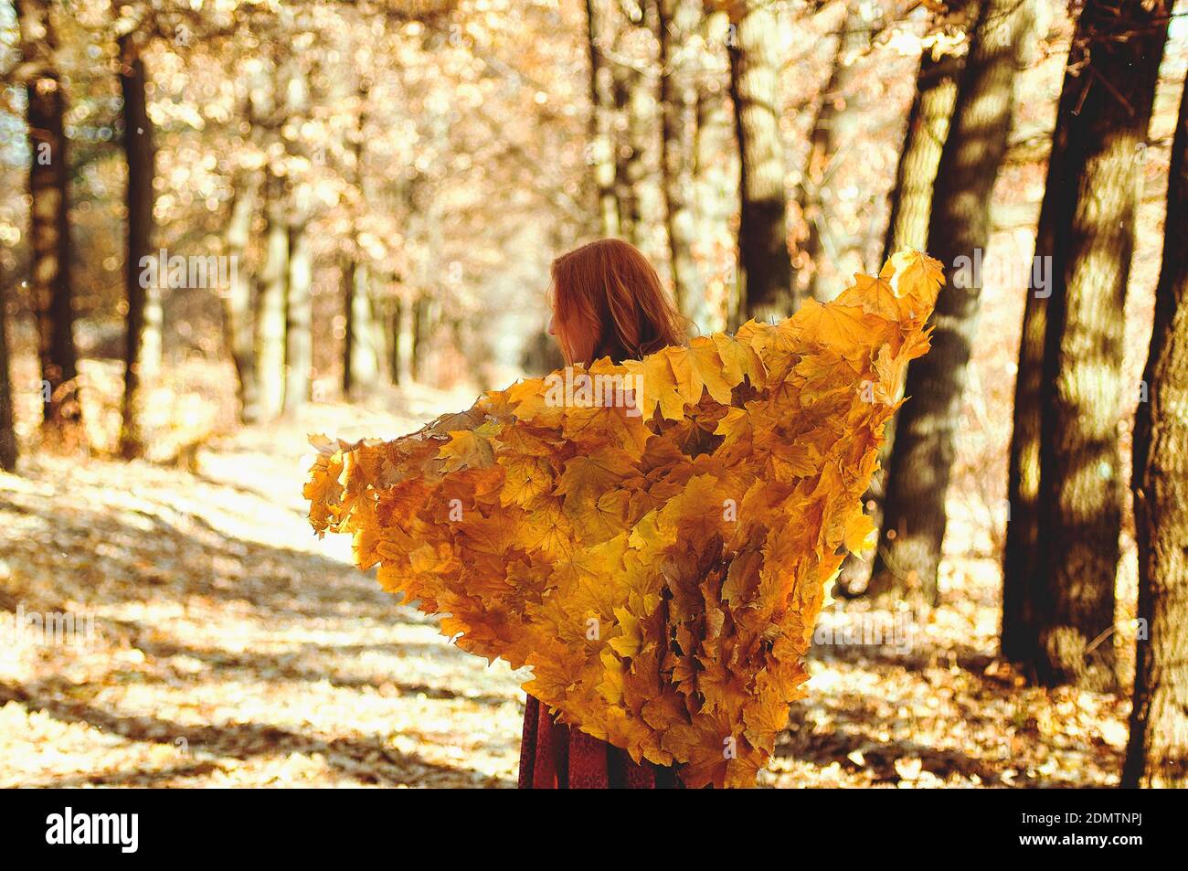 Ragazza rossa nella foresta d'autunno Foto Stock