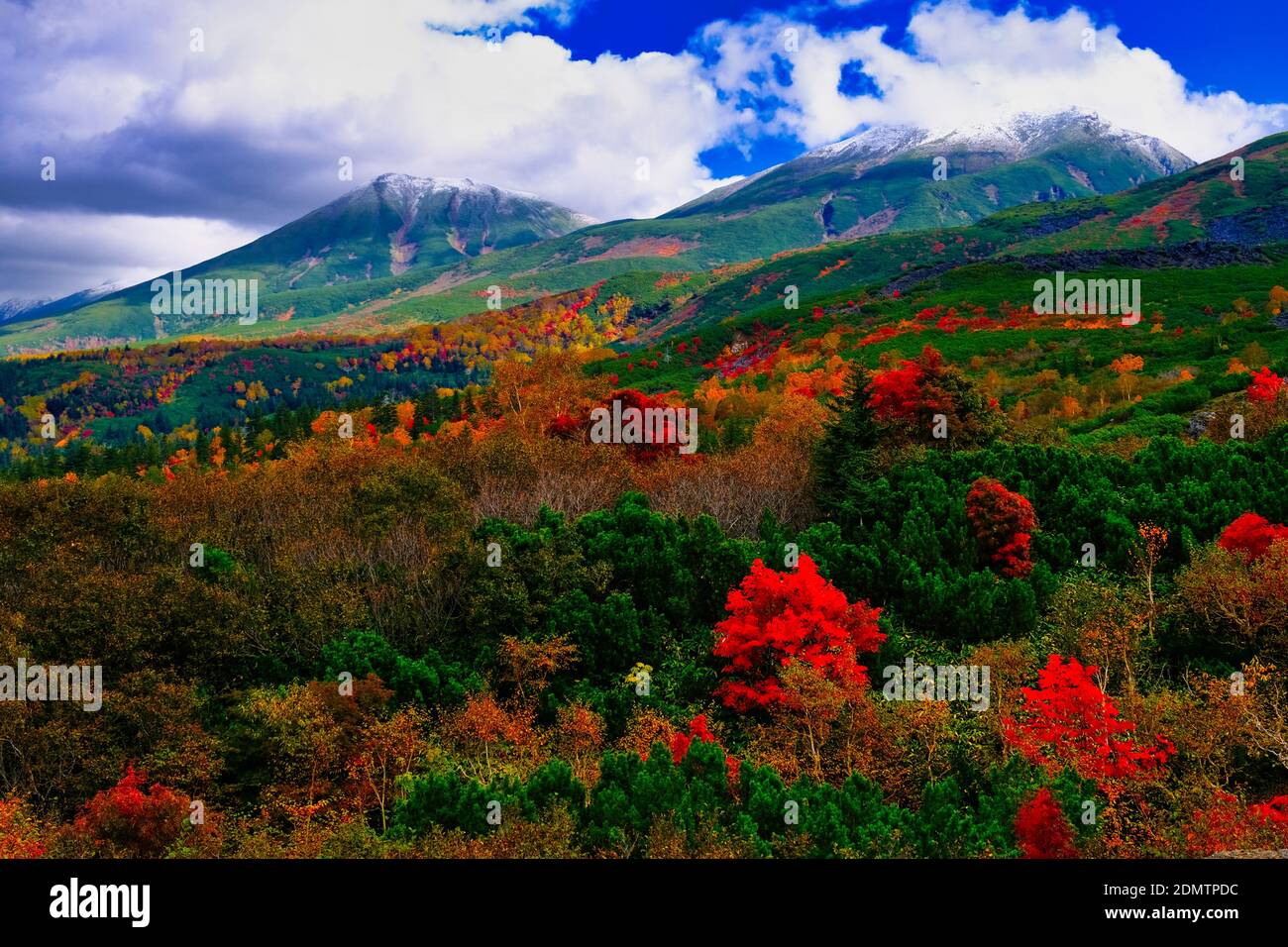Mt. Tokachi, fogliame autunnale, Hokkaido, Giappone Foto Stock