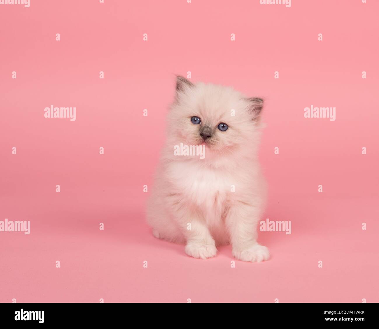 purina one smartblend sensitive systems