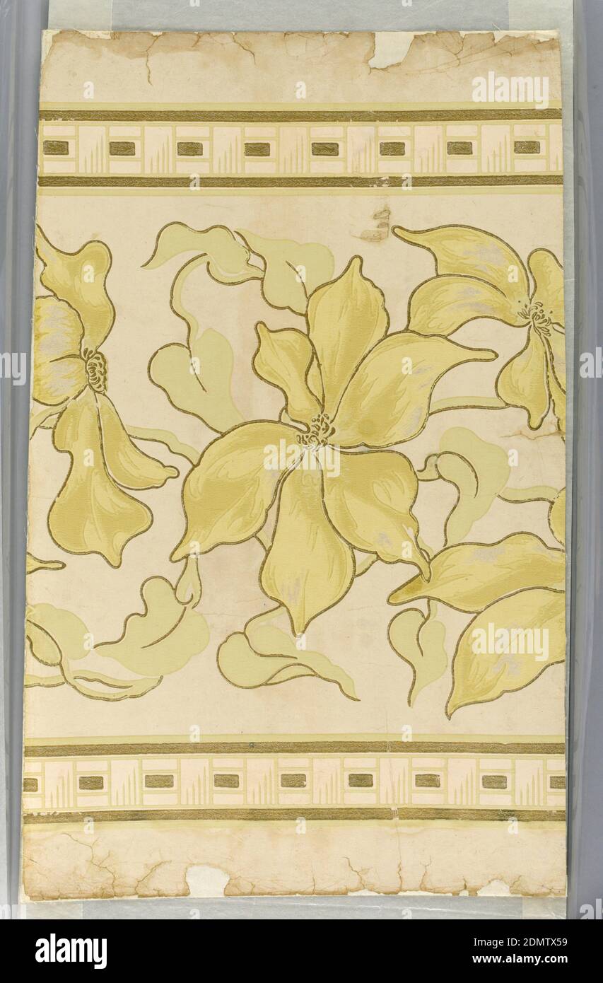 Fregio, stampato a macchina, motivo con bordo floreale, fiore in grande scala con grandi petali in giallo cromato pastello e verde salvia, sfumature molto delicate su campo avorio. Fiori e foglie delineate in oro. Un modello di tessitura a cestello in alto e in basso con bande dorate su entrambi i lati. Questo design deve essere utilizzato come bordo., USA, 1890–1900, Wallcoverings, Frieze Foto Stock