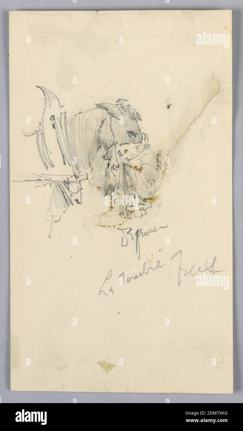 A Buggy Horse, Arnold William Brunner, cucina americana, 1857–1925, grafite su carta, Cavallo nel profilo destro, con sacchetto per mangimi, USA, 1892, Animali, disegno Foto Stock