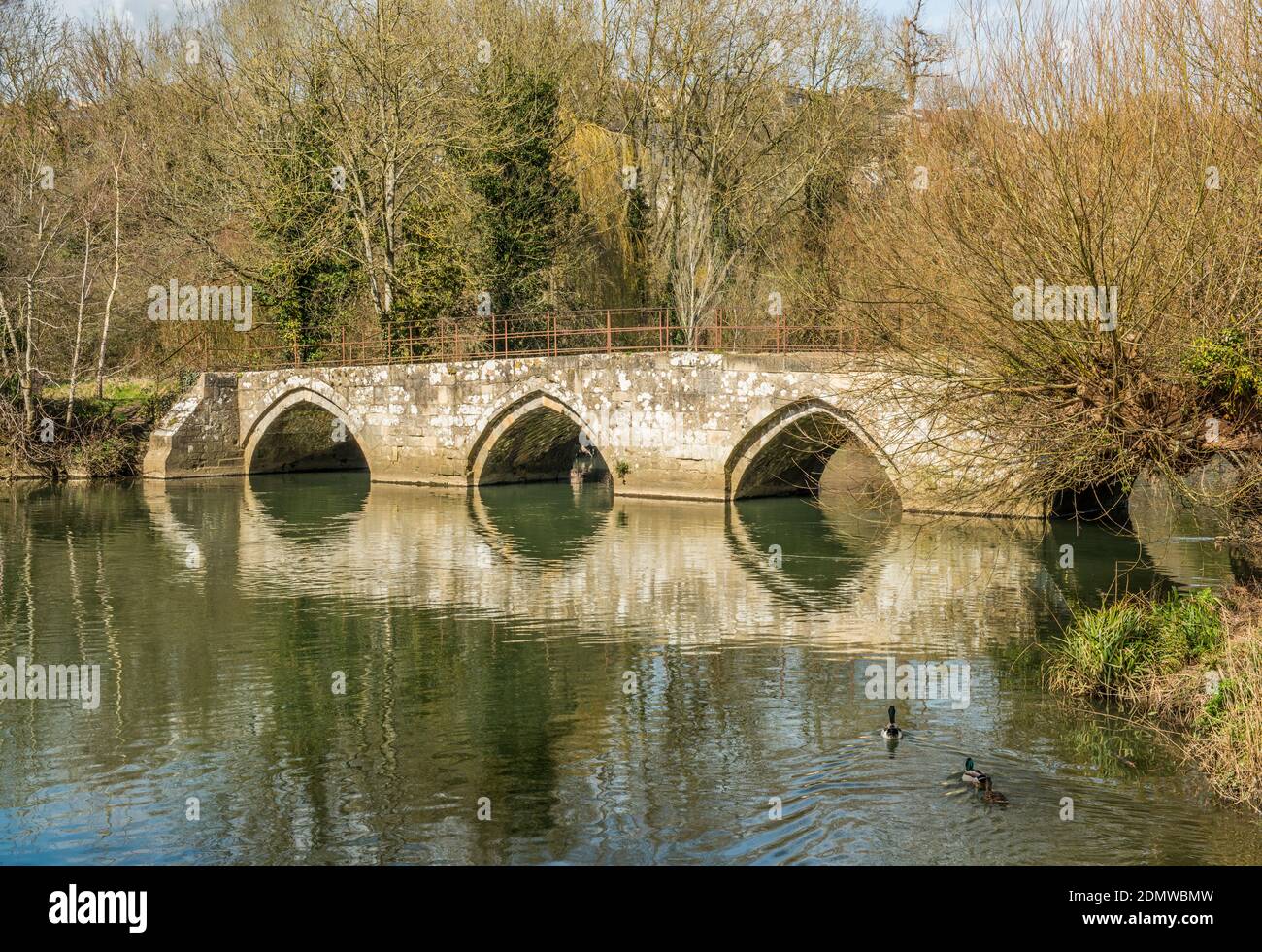 Il vecchio ponte pedonale in pietra ad arco che attraversa il fiume Avon, a Bradford su Avon, Wiltshire, Inghilterra sud-occidentale Foto Stock
