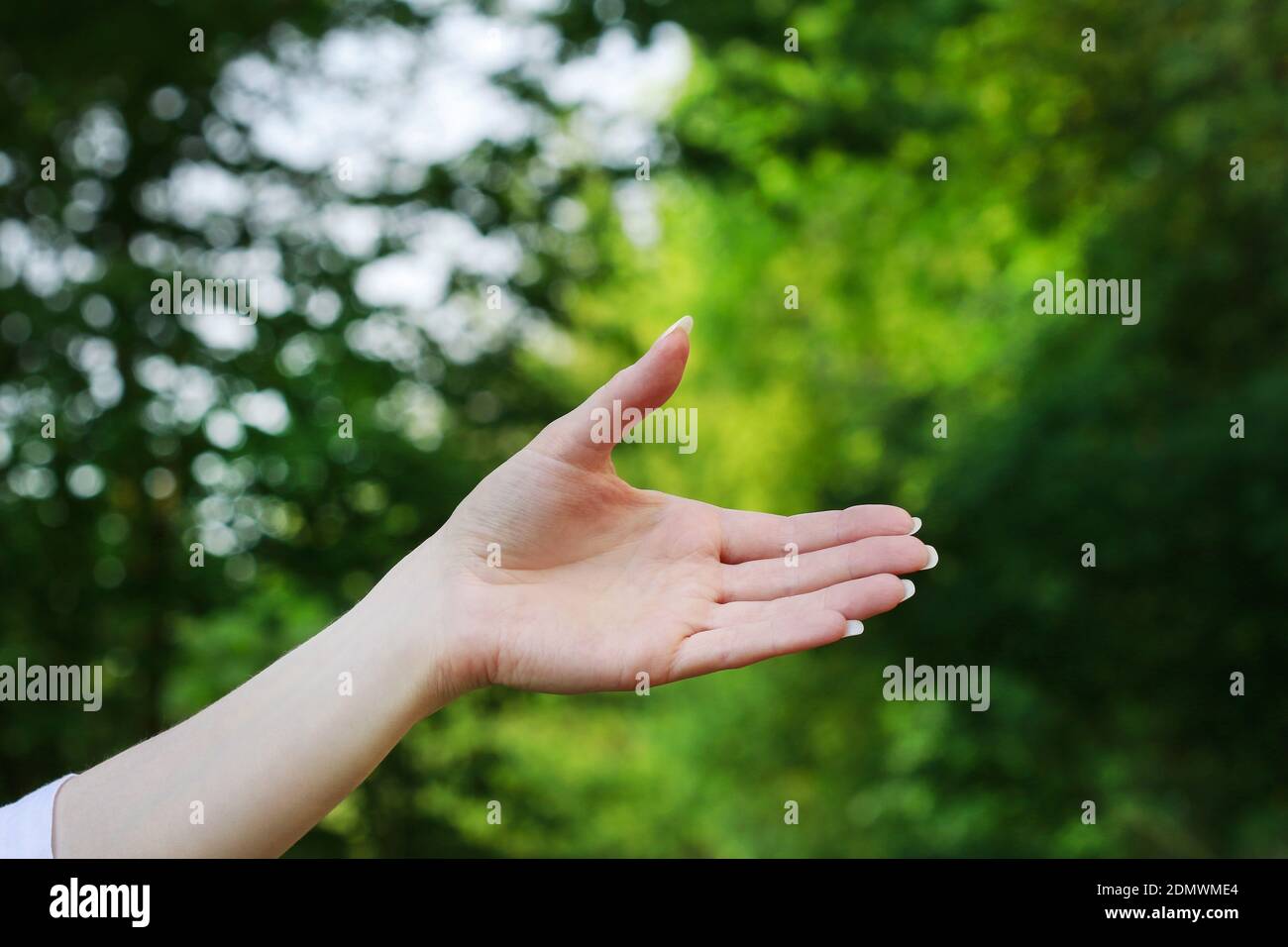 Gesto di Benvenuto. Belle mani su sfondo verde. Risorse grafiche Foto Stock