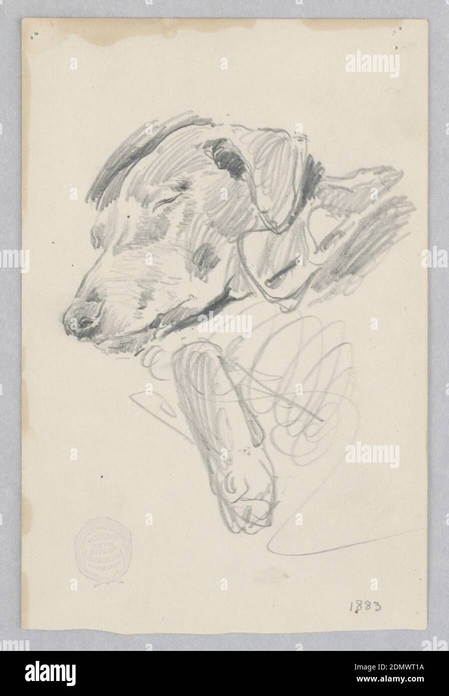 Dog, Robert Frederick Blum, americano, 1857–1903, grafite su carta wove, schizzo di un cane., USA, 1883, figure, disegno Foto Stock