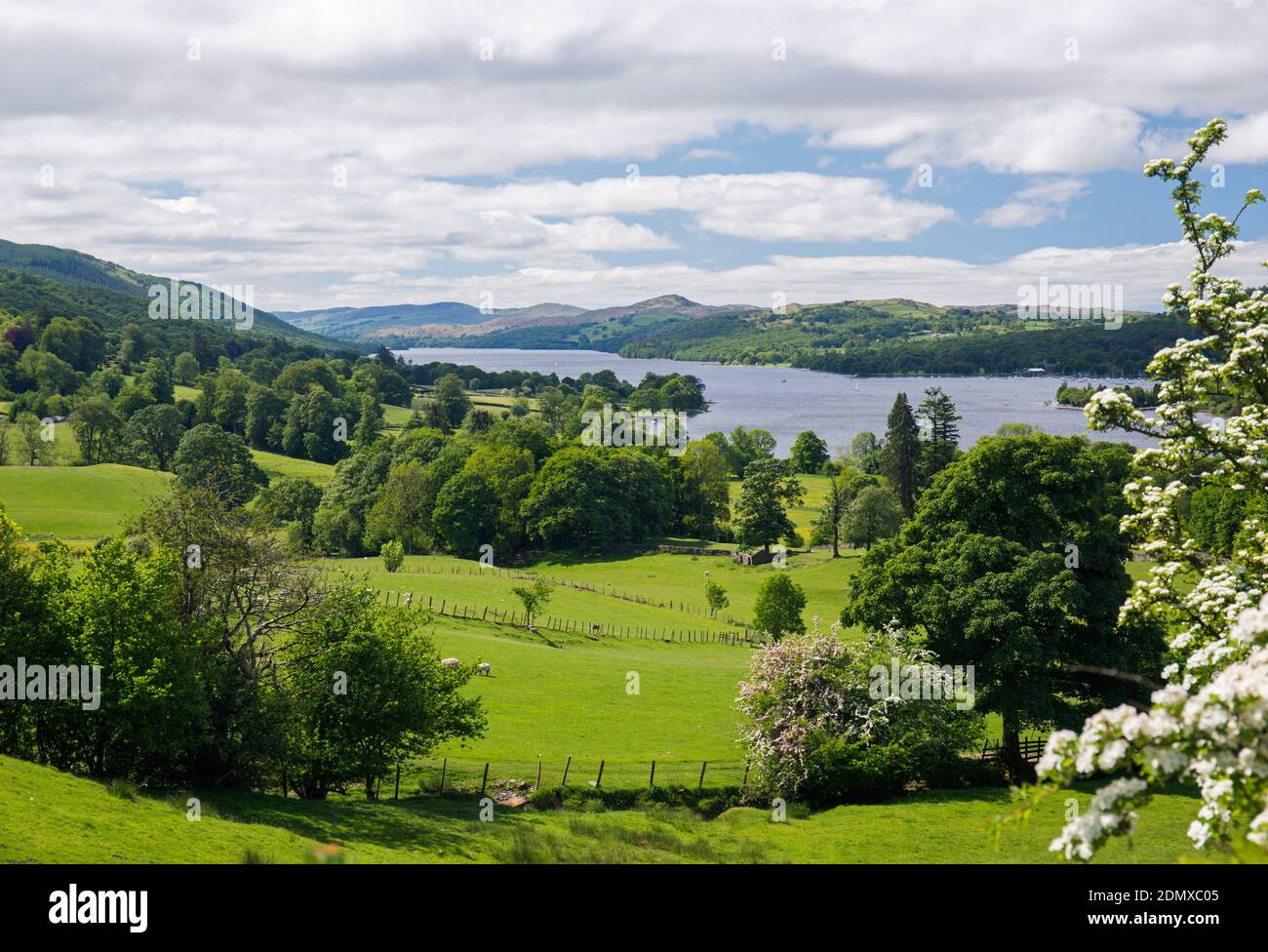 Coniston, Cumbria, Inghilterra. Vista su lussureggianti pascoli verdi fino all'acqua di Coniston, sorgente. Foto Stock