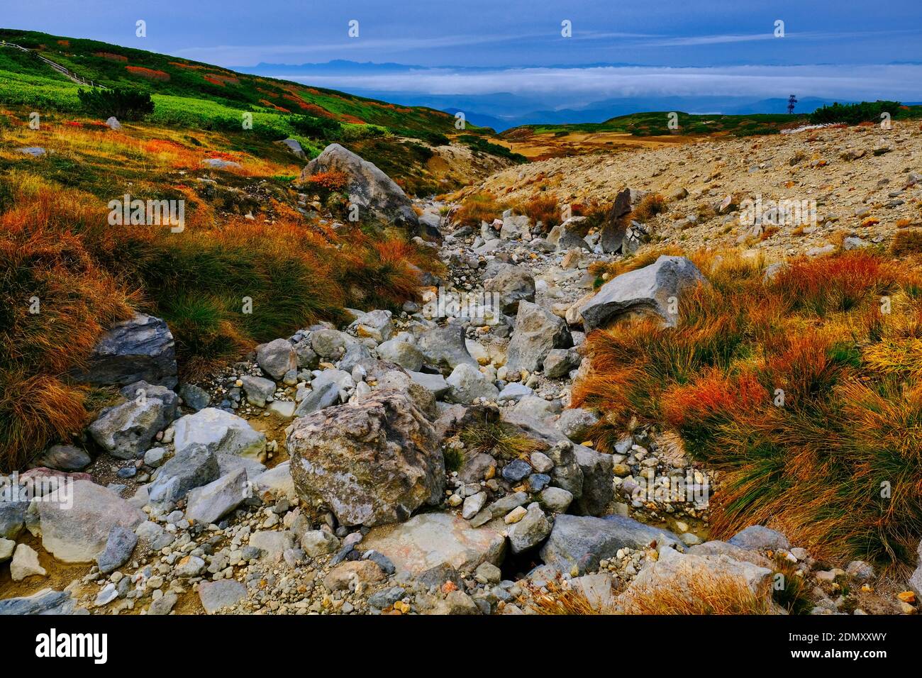 Mt. Asahi, fogliame autunnale Foto Stock