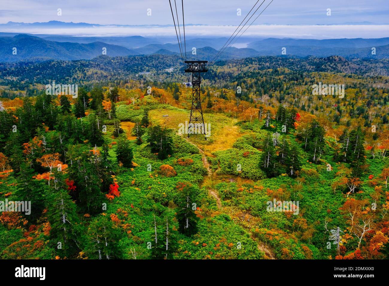 Mt. Asahi, fogliame autunnale Foto Stock