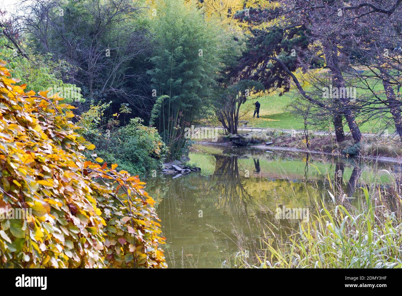 Colori autunnali in un giardino pubblico a Parigi Francia Foto Stock