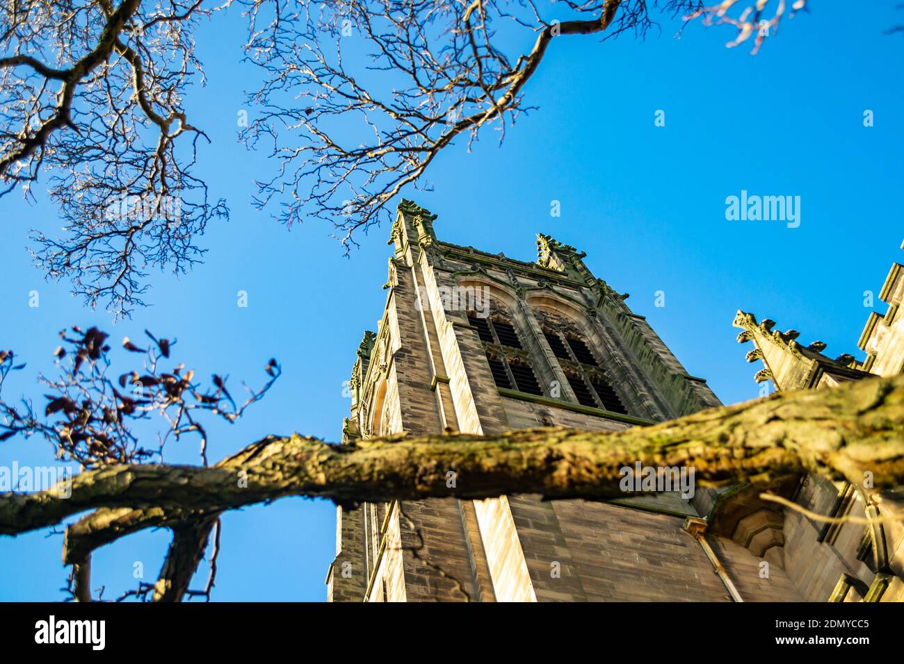 Winter Tree si dirama sulla Leamington Parish Church, Warwickshire, Regno Unito Foto Stock