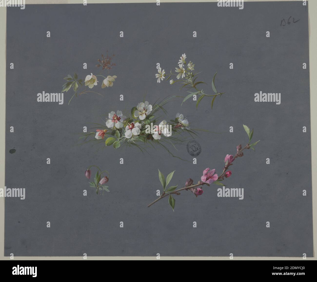 Design per Wallpaper e Textiles: Fiori, pennello e gouache su carta blu, cinque gruppi di fiori su sfondo blu-grigio scuro. Quattro raggruppamenti ad ogni angolo con uno al centro. Centro: Sei fiori bianchi con fogliame e lame di erba verde dietro. In alto a sinistra: Un gambo con due fiori bianchi e fogliame con fogliame marrone dietro, le cime dei fiori rivolti a destra. In alto a destra: Quattro fiori bianchi e un fiore su un gambo con fogliame con le cime dei fiori rivolte a sinistra. In basso a destra: Un ramo con fogliame e fiori rosa e fiori, rivolto a destra. In basso a sinistra: Due steli con fogliame Foto Stock