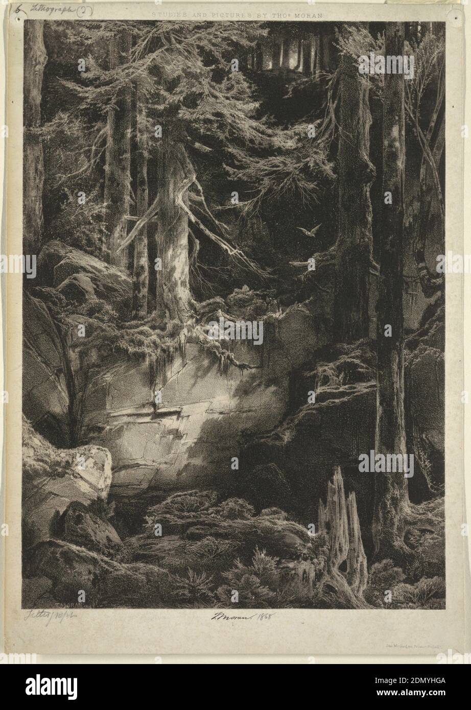 A Forest Glen, Thomas Moran, cucina americana, b. Regno Unito, 1837–1926, litografia su carta, vista verticale di una radura forestale con l'affioramento a strapiombo di roccia e greggi alti., USA, 1868, Paesaggi, Stampa Foto Stock