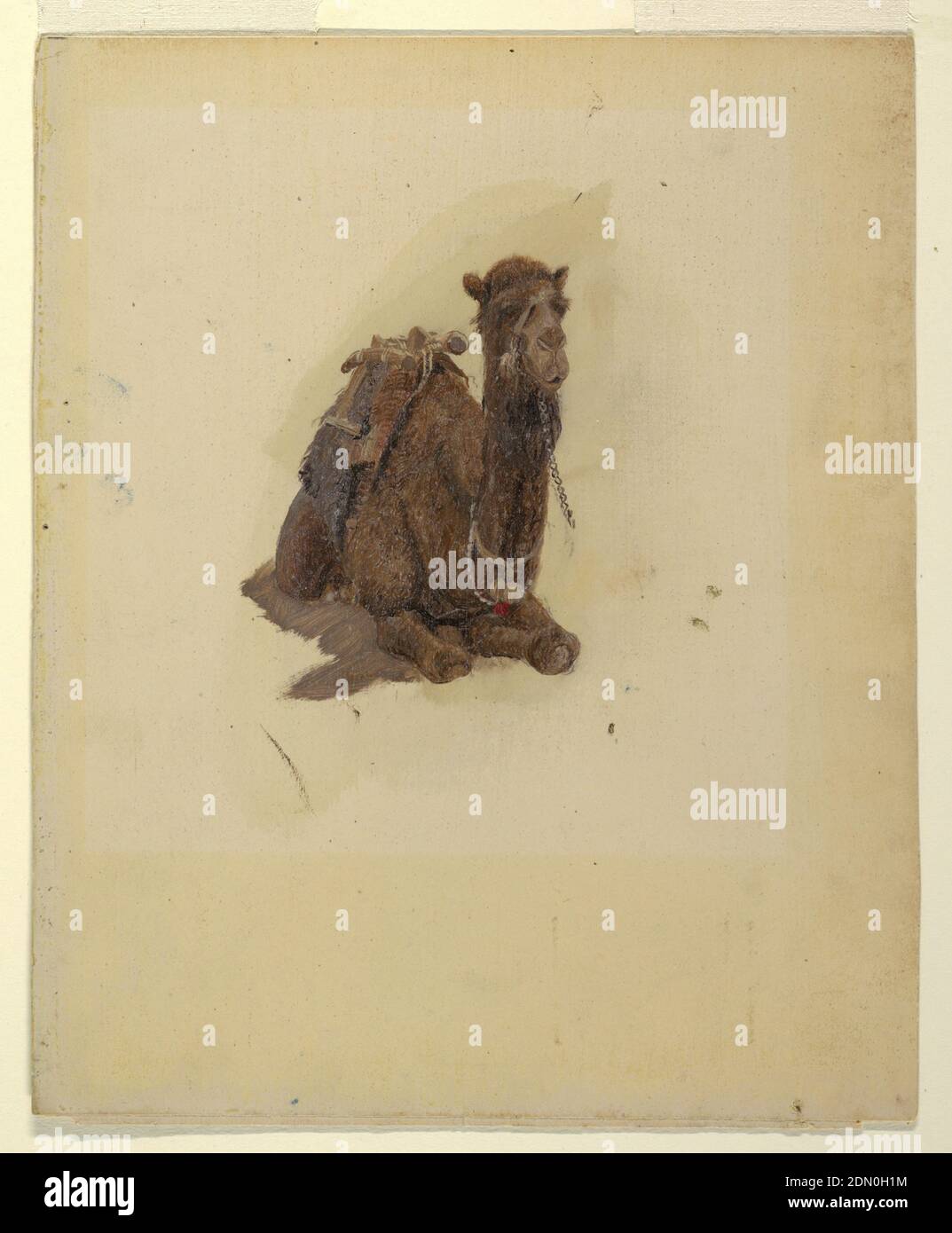 Dromedario accovacciato, Frederic Edwin Church, americano, 1826–1900, olio su cartone, disegno verticale. L'animale accovacciato è mostrato obliquamente dalla parte anteriore e isolato senza sfondo., USA, 1868, figure, disegno Foto Stock