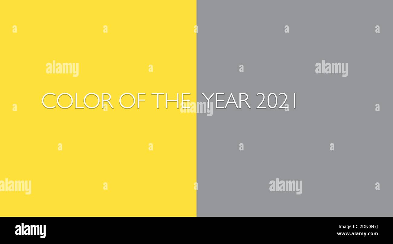 Colore dell'anno 2021 - giallo vivo e grigio neutro, disposizione con spazio per il testo, modello di colore. Illustrazione di grandi dimensioni Foto Stock