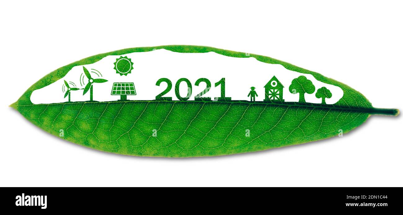 2021 concetto di ecologia verde, 2021 anni per risparmiare energia mondiale per utilizzare l'energia verde per ridurre l'inquinamento, riciclare, riutilizzare, proteggere l'ambiente, utilizzare replica Foto Stock