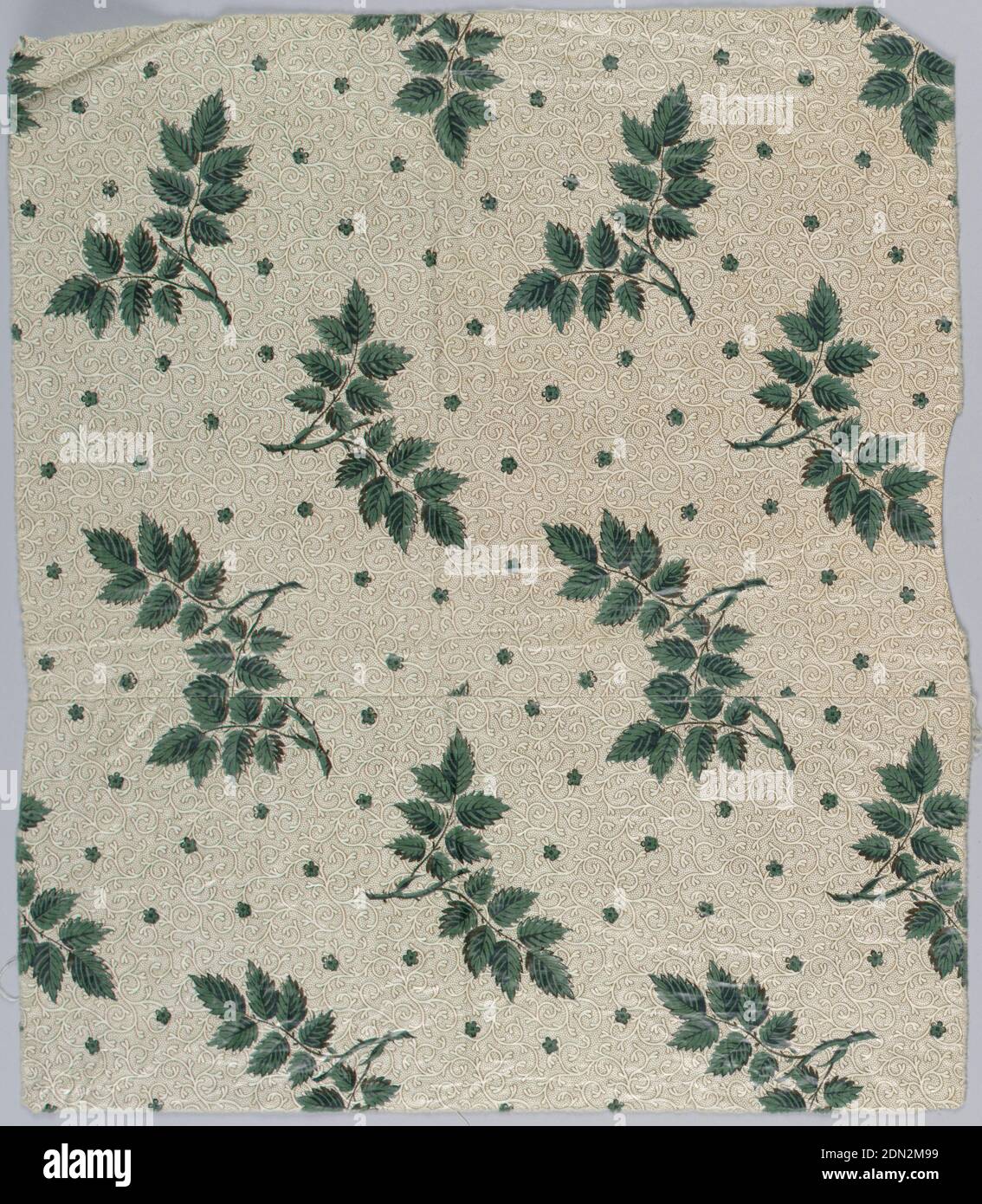Tessile, Medio: Cotone tecnica: Stampato con rullo inciso su tessitura semplice, cotone, con fondo color crema, rullo stampato in piccolo disegno a tutto tondo di vite e terreno punteggiato in marrone. Sovrastampato, probabilmente da blocchi in schema separato di spruzzi di foglia in verde forte. Il verde è chimico o verde "direct". Glated., Inghilterra, 1850–1900, tessuti stampati, tinti e verniciati, tessile Foto Stock