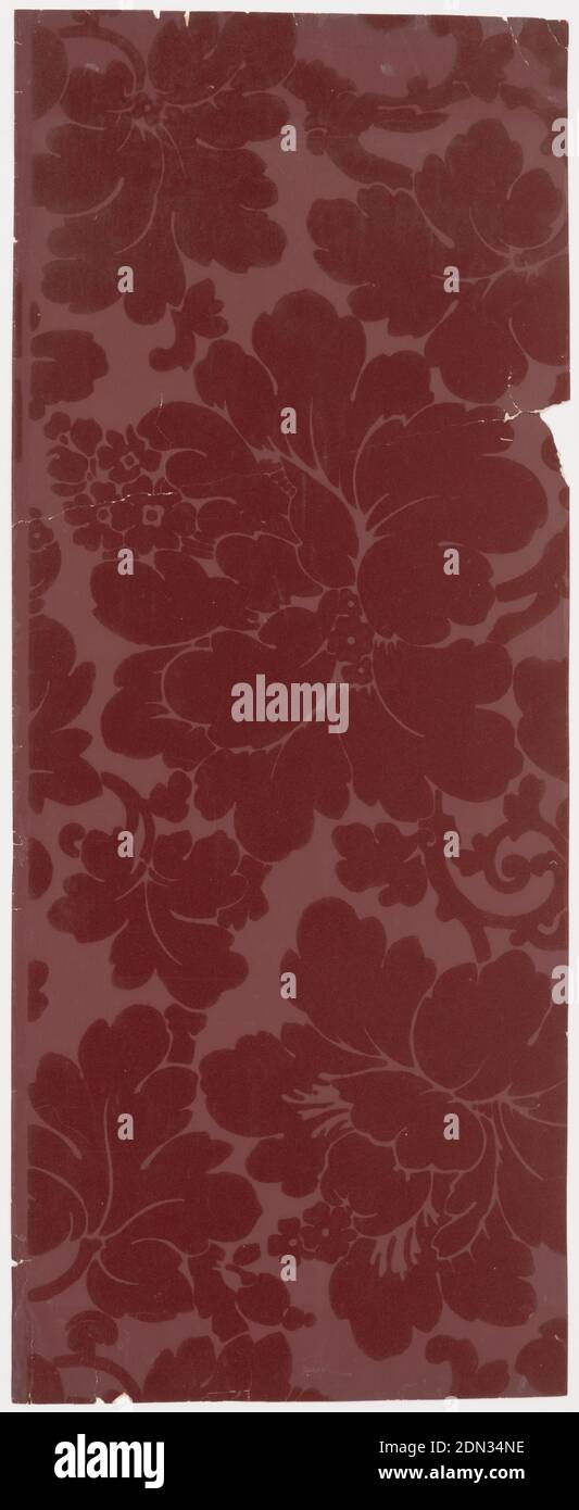 Parete laterale, carta stampata a blocchi, floccato, fiore stilizzato grande simile al 1946-17-4 con cui è stata utilizzata questa carta. Il disegno floreale è stampato in floccato rosso su una terra più chiara di colore rosso. Da casa costruita nel 1812 a Burlington, Vermont., USA, 1895–1900, Wallcoverings, parete laterale Foto Stock