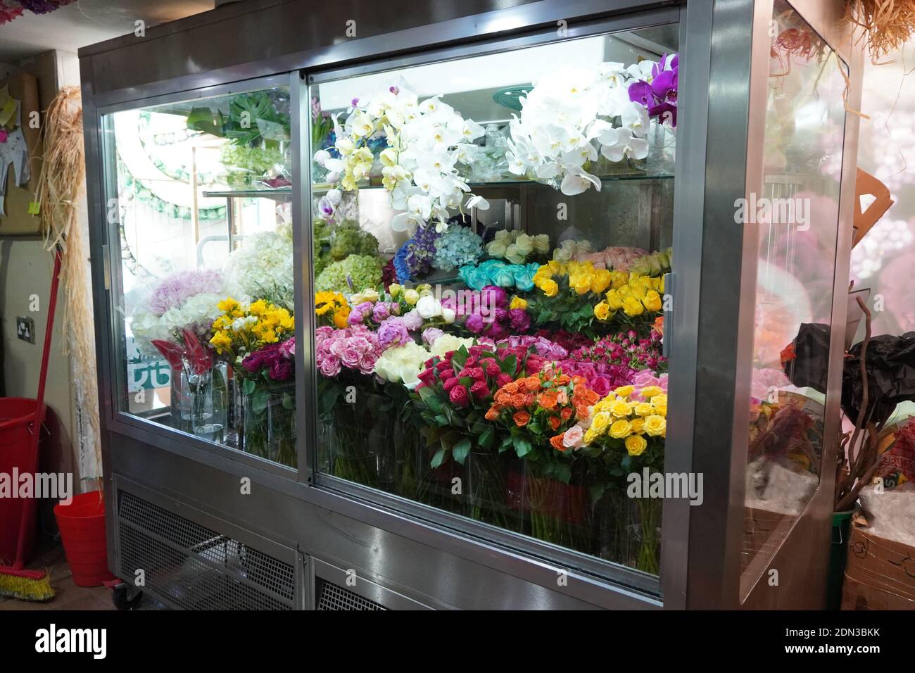 Varietà di fiori in vendita in una speciale sala fredda con aria  condizionata. Frigorifero per fiori. Davanti al frigorifero con bouquet di  fiori come la rosa Foto stock - Alamy
