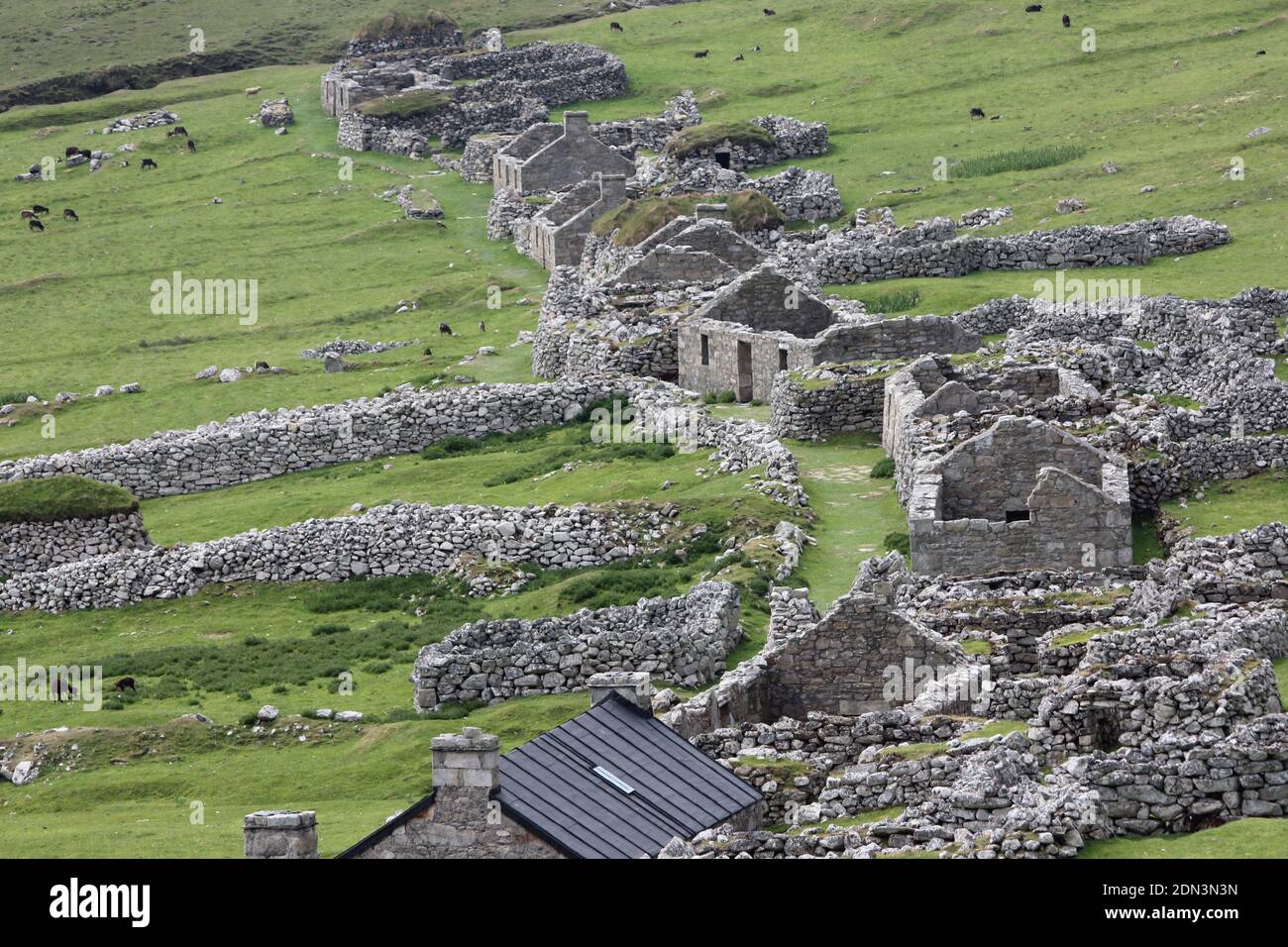 Il Villaggio su Hirta, San Kilda Foto Stock