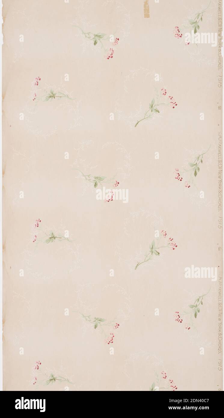 La carta da soffitto, la carta stampata a macchina, la mica liquida, le sottili e delicate ciuffe di fiori rosa bicolore con foglie e steli verdi chiari e scuri sono equidistanziate all'interno del disegno. In ogni registro, un fiore è rivolto a destra e l'altro è rivolto a sinistra. Questo modello è ripetuto verticalmente e fa sembrare i fiori come se stanno cadendo. Intorno ad ogni fiore si trova un garland bianco e delicato stampato in mica. Stampato in rosso, verde e mica su un terreno biancastro., USA, 1905–1915, Wallcoverings, carta da soffitto Foto Stock