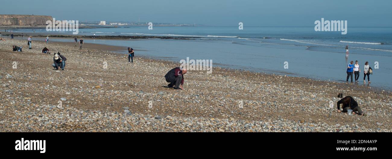Persone che cercano i famosi pezzi di vetro di mare su Le spiagge di Seaham nella contea di Durham Foto Stock