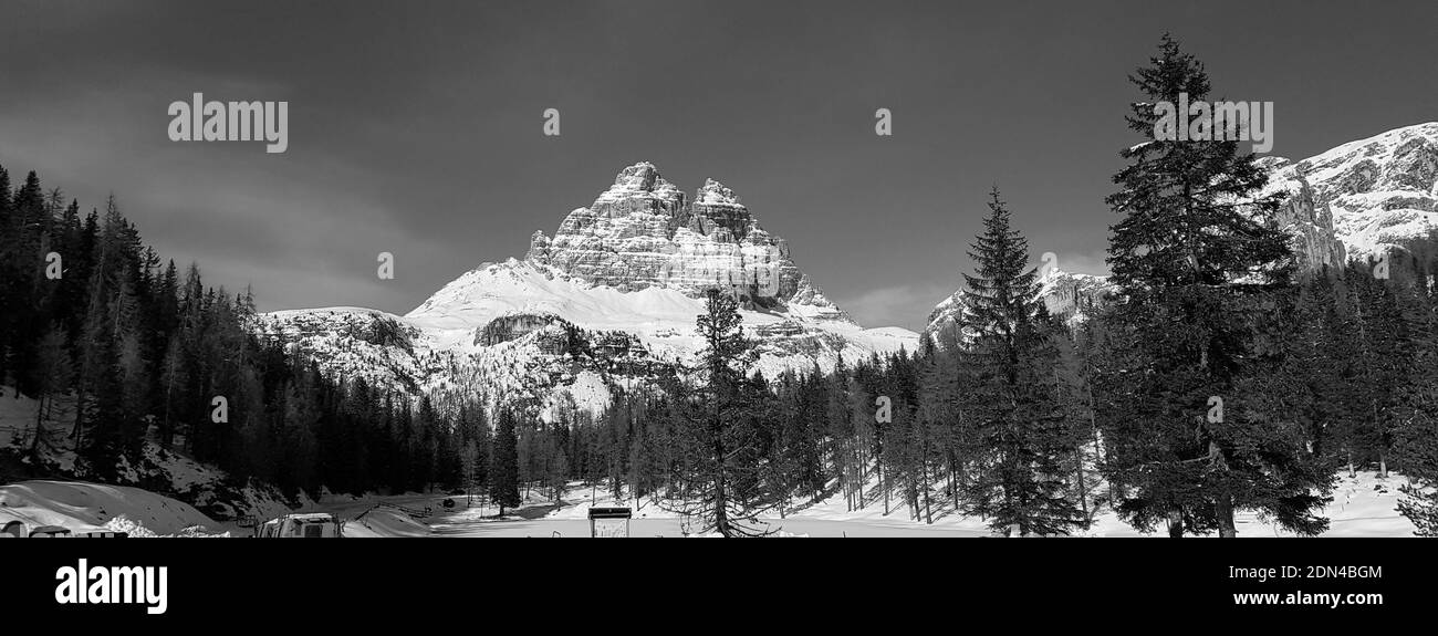 cime di montagne sullo sfondo della foresta di abete rosso Foto Stock