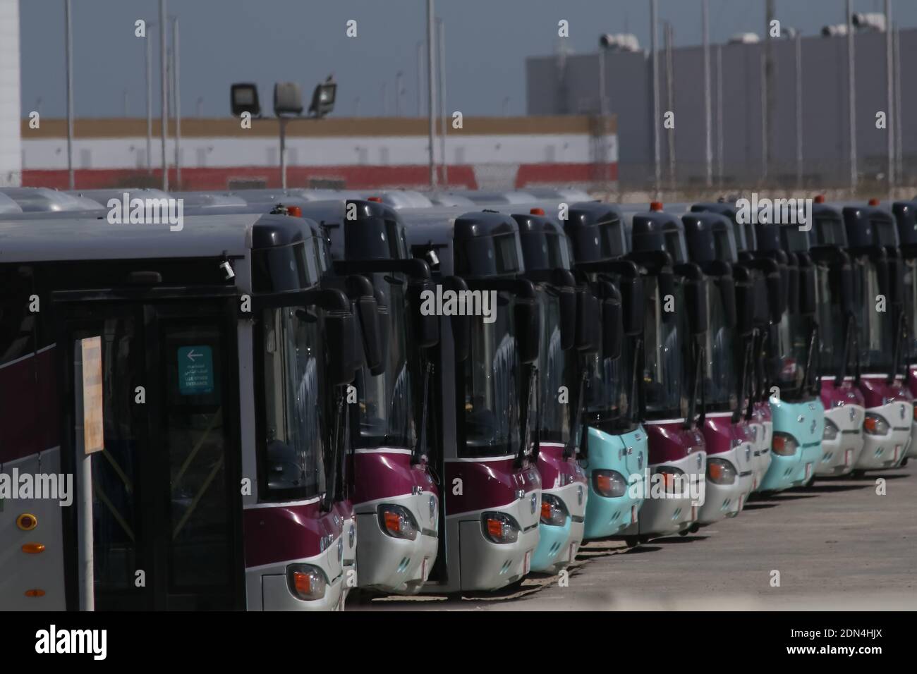 Autobus parcheggiati alla stazione di Doha, Qatar Foto Stock