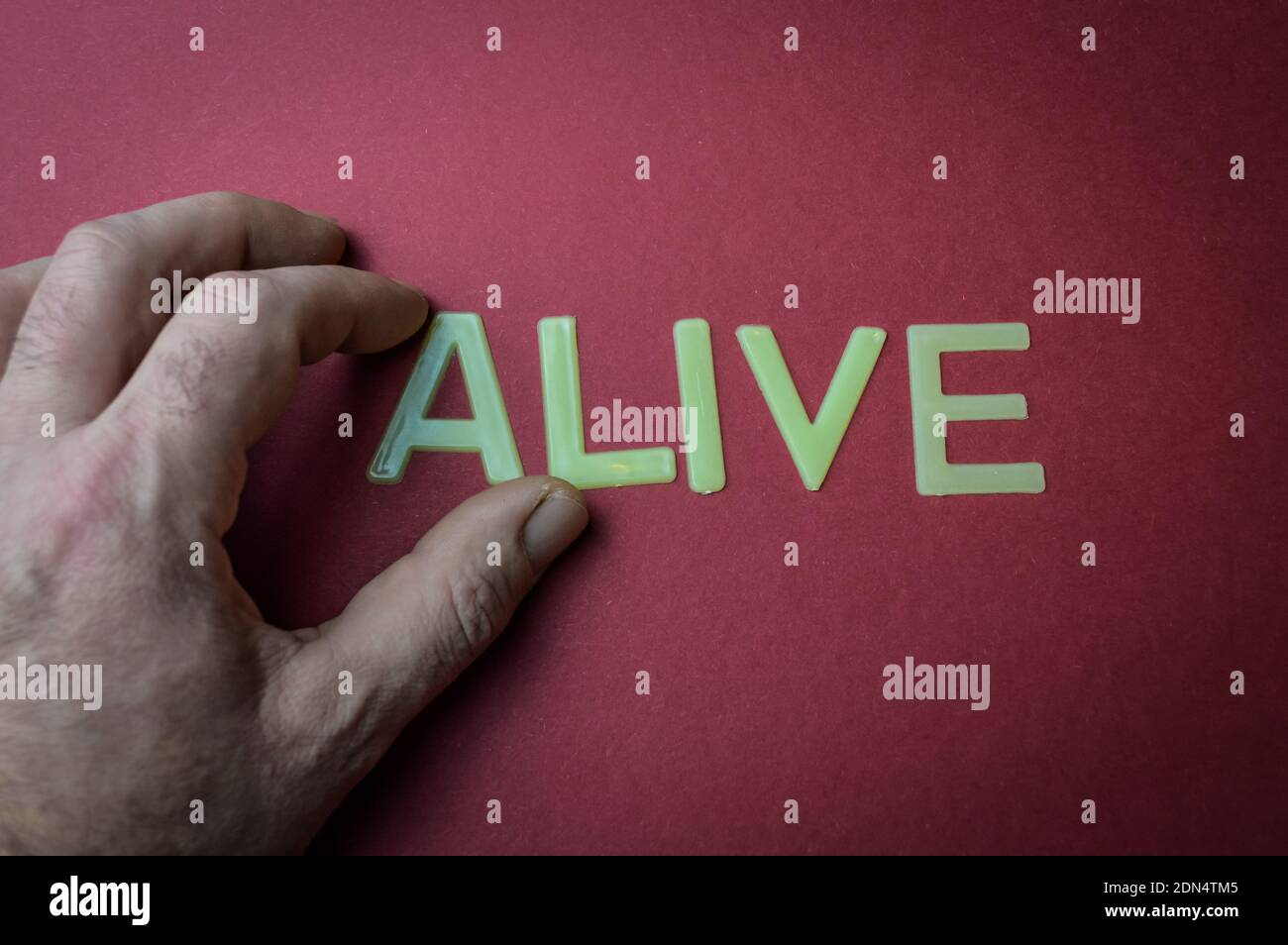 Dita umane che tengono la parola Alive scritta con lettere di plastica su sfondo di carta rosso scuro, concetto Foto Stock