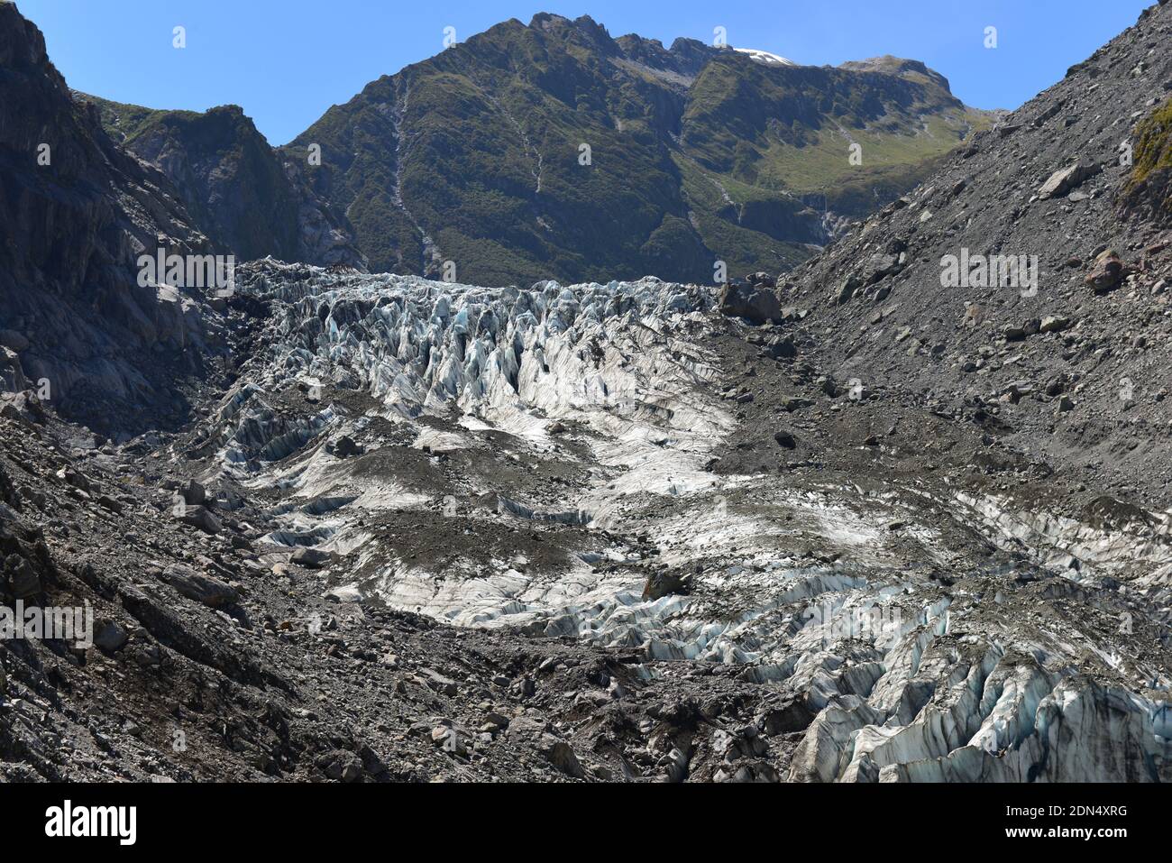 Fox Glacier sulla South Island New Zealand Foto Stock