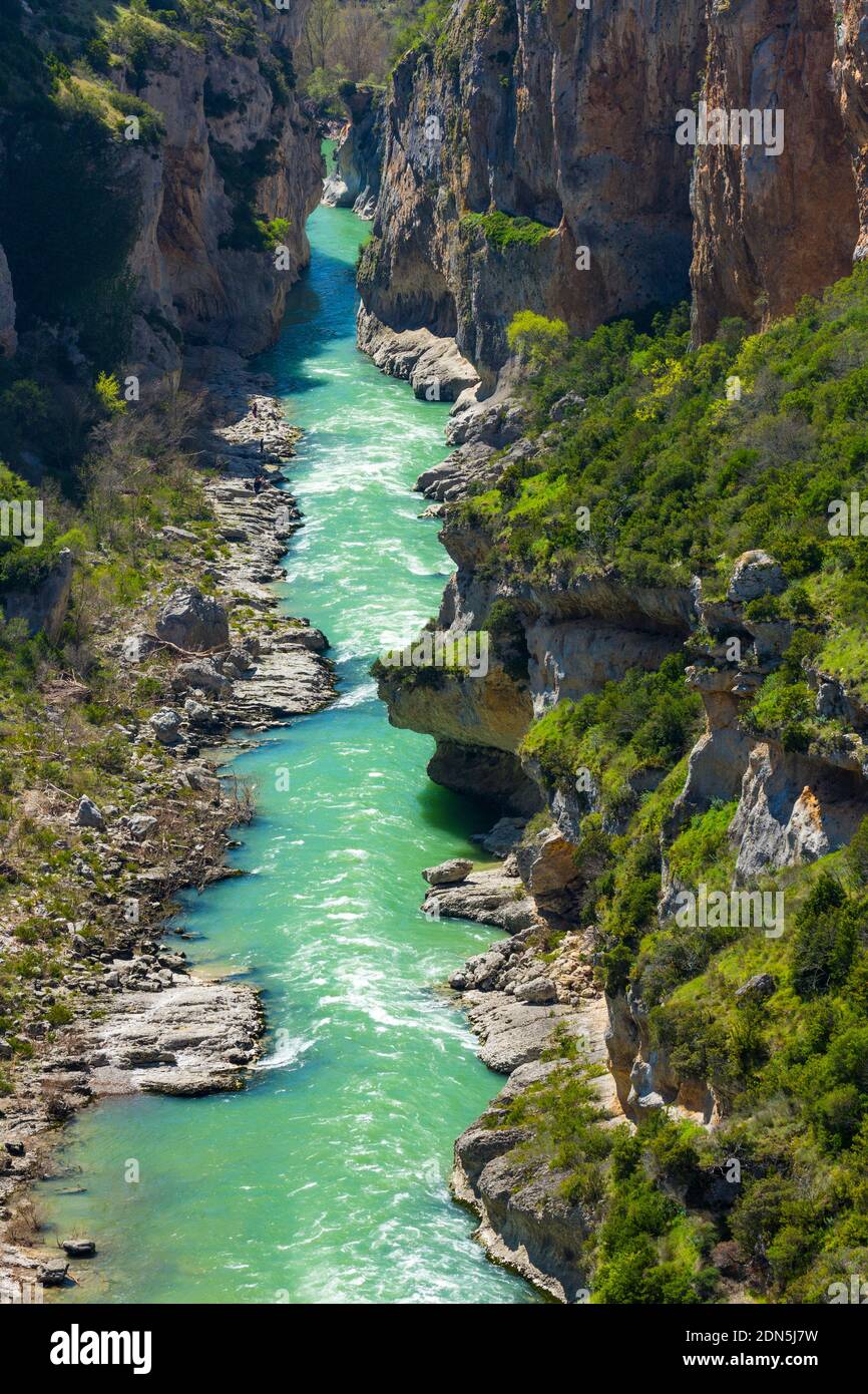 Foz de Lumbier, fiume Salazar, Navarra, Spagna, Europa Foto Stock