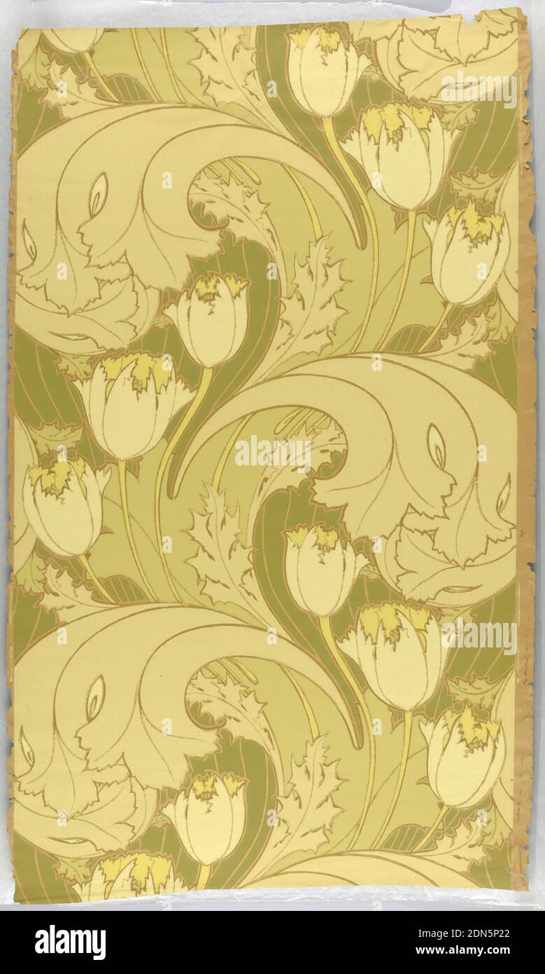 Sidewall, Charles Francis Annesley Voysey, (inglese, 1857–1941), carta stampata a blocchi, design in stile Art Nouveau con tulipani su larga scala e foglie di acanto a scorrimento. Stampato in tonalità di giallo e verde oliva, USA, 1893–1895, Wallcoverings, parete laterale Foto Stock