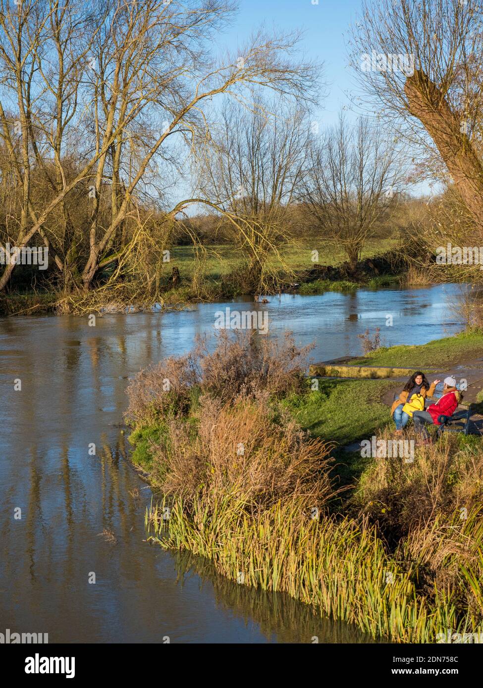 Amici seduti sulle rive del Tamigi, Thames Path, Oxford, Oxfordshire, Inghilterra, Regno Unito, GB. Foto Stock