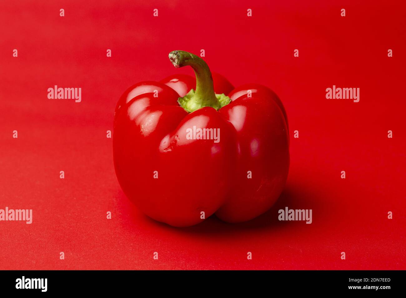 Singolo peperone rosso scuro vibrante o paprika fresca e. stelo verde che contrasta con uno sfondo rosso intenso e pulito Foto Stock