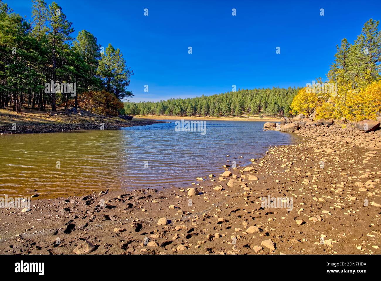 Grandi massi che costeggiano la costa di una laguna sul lato sud-ovest del lago Dogtown vicino a Williams Arizona. Questa laguna fa parte di Dogtown Wash che Foto Stock