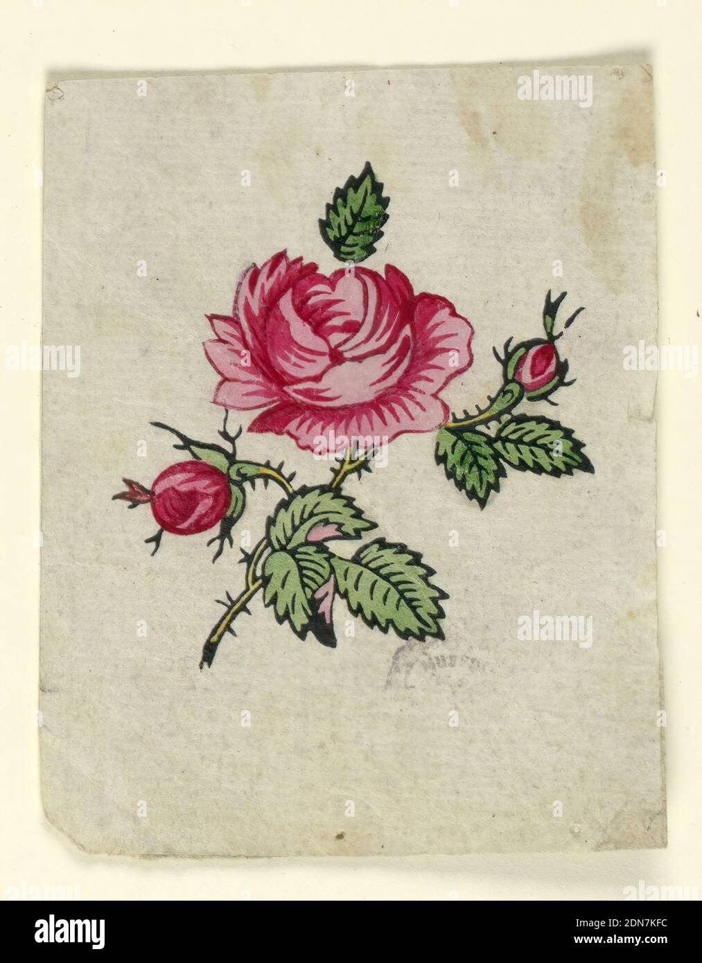 Woodblock prova prova per un tessuto stampato, pennello e gouache su carta bianca, un fiore di rosa con due boccioli, con foglie su un unico stelo., Francia, 1790–1800, disegni tessili, disegno Foto Stock