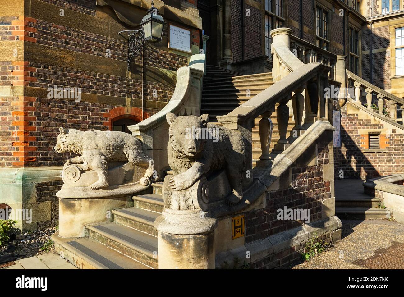 Sculture animali all'ingresso del Sedgwick Museum of Earth Sciences, Cambridge Cambridgeshire England United Kingdom Foto Stock