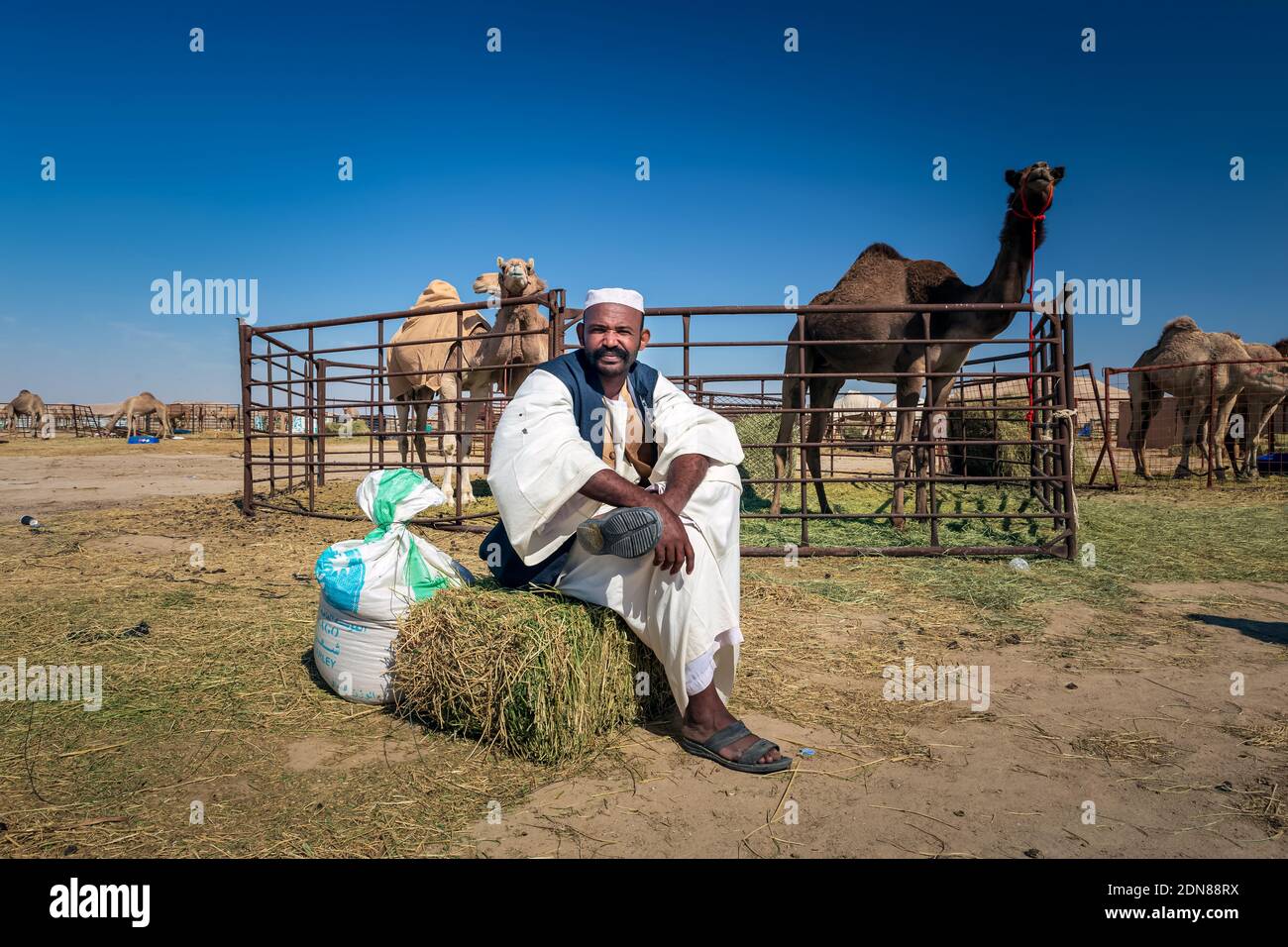 Il tradizionale Pastore dei cammelli si trova di fronte al cammello nell'area desertica di al Sarar - Arabia Saudita. 17 gennaio 2020. Foto Stock