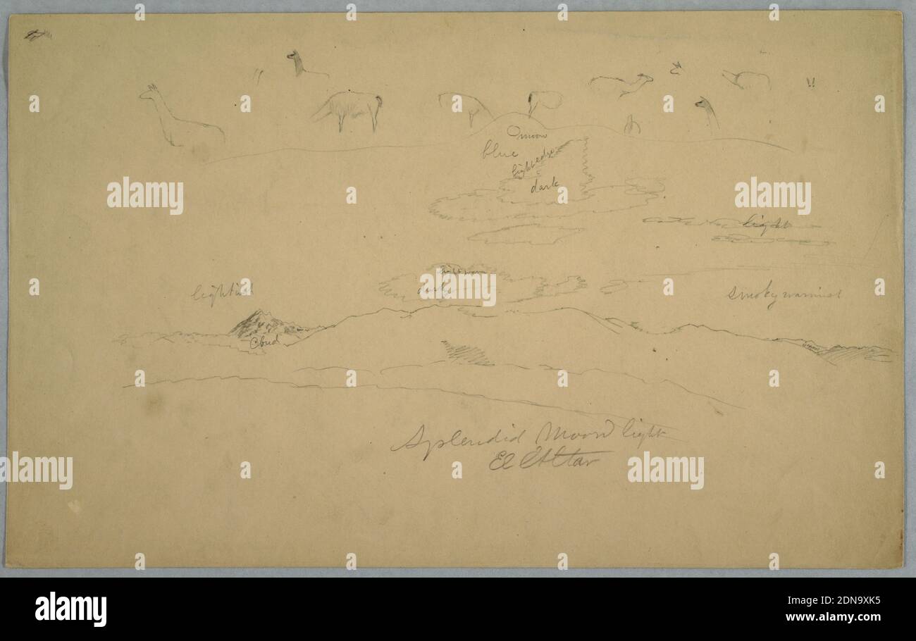 Viste dell'Ecuador: Pascoli di lama e cielo illuminato dalla Luna nuvolosa con l'altare El che sale dietro una catena montuosa, Frederic Edwin Church, americano, 1826–1900, grafite su carta marrone, schizzo orizzontale contenente parti di lama che pascolano o che guarda in alto con una linea di cornice sotto, E la luna sopra un cielo nuvoloso su una catena montuosa con l'altare El, visto che sorge sopra una nuvola in lontananza., ca. Settembre 1853, paesaggi, disegno Foto Stock