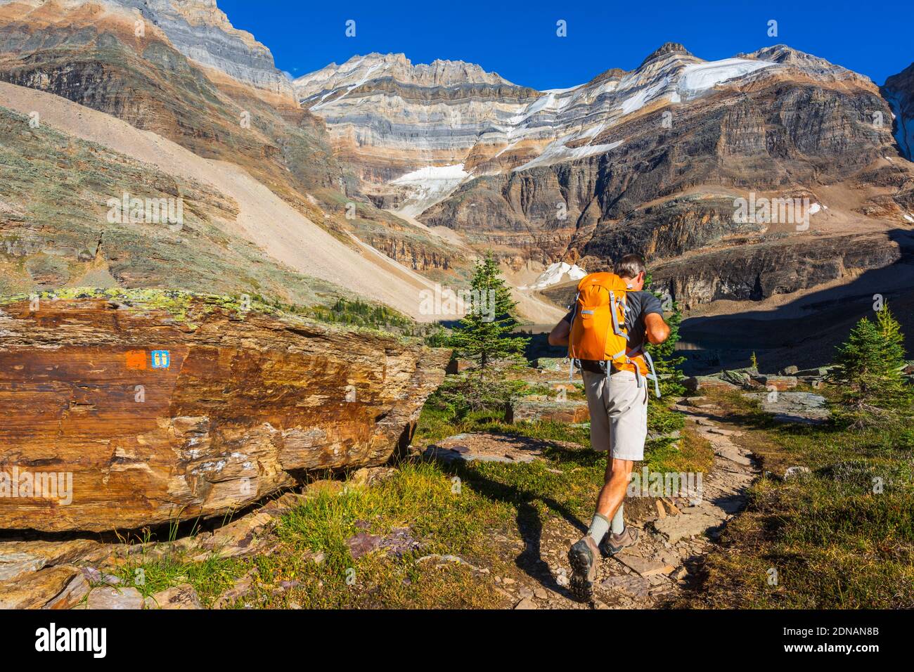 Escursionista sul Yukness Ledges Trail al lago Oesa, Yoho National Park, British Columbia, Canada Foto Stock