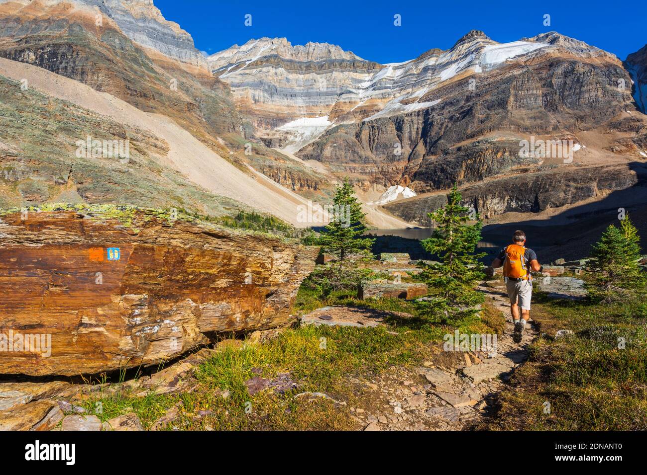 Escursionista sul Yukness Ledges Trail al lago Oesa, Yoho National Park, British Columbia, Canada Foto Stock