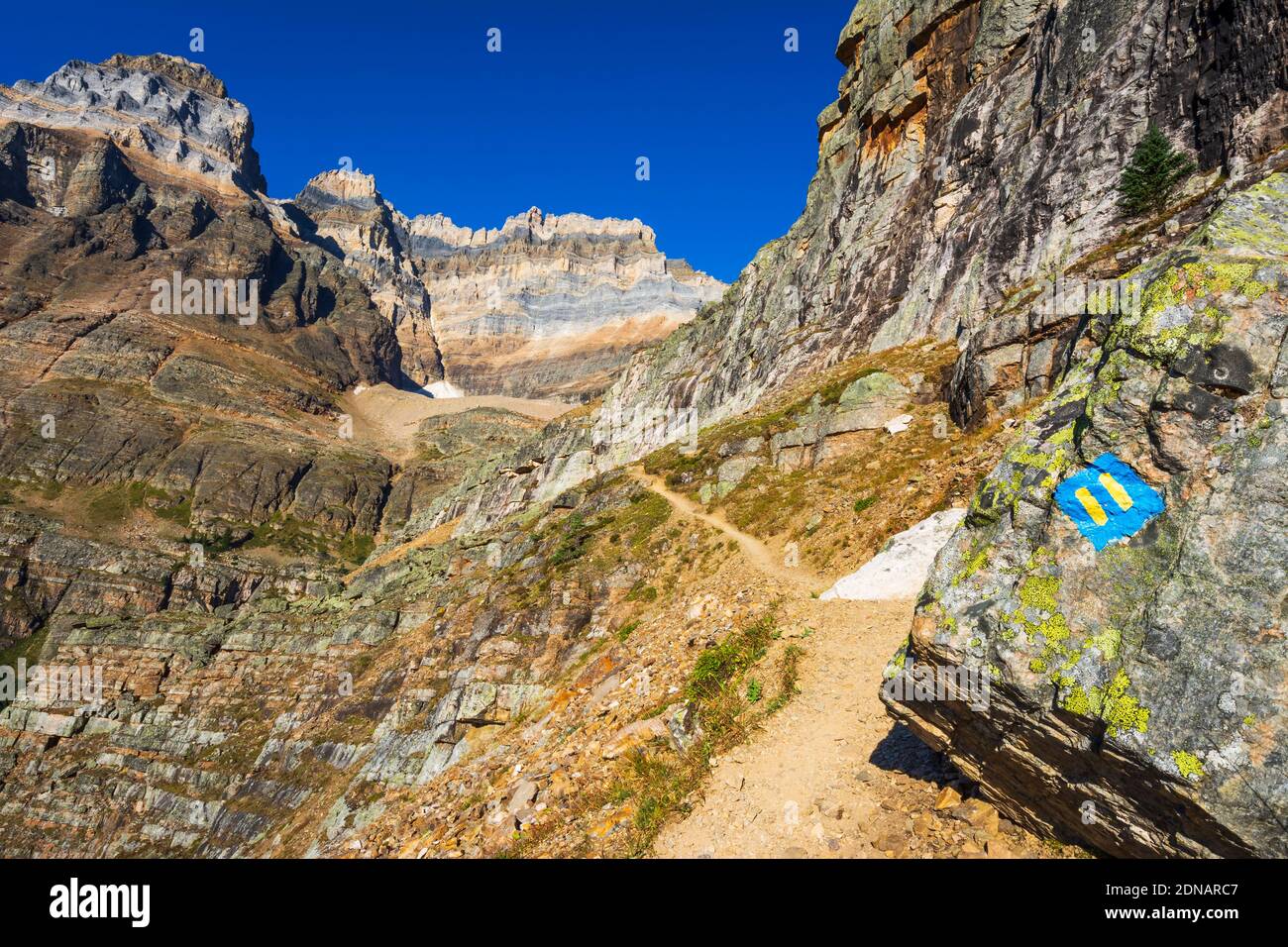 Segnavia sulla Yukness Ledges Trail sopra il lago o'hara, Yoho National Park, British Columbia, Canada Foto Stock